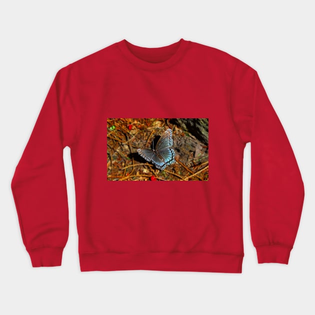 Butterfly Crewneck Sweatshirt by vadim19